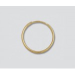 14K Yellow Gold Endless Hoops